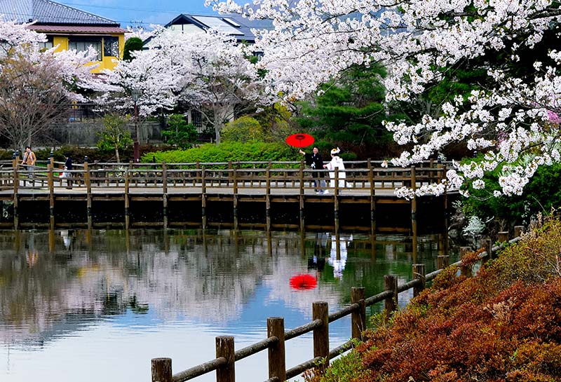 嫁ぐ日　吉田光江