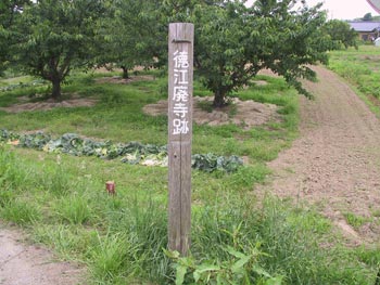 徳江廃寺跡の写真