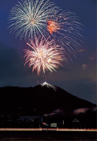 阿津賀志山ビックツリーの画像